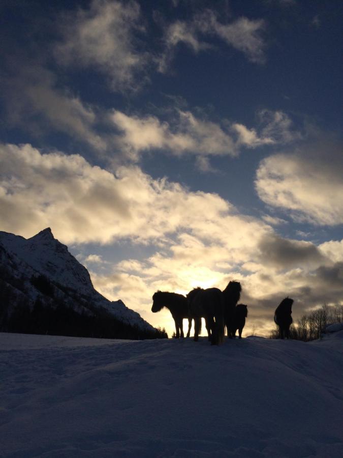Flo Lofoten Nature Escape Valberg 외부 사진